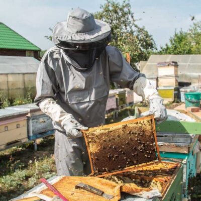 12. BEE Keeper Gloves